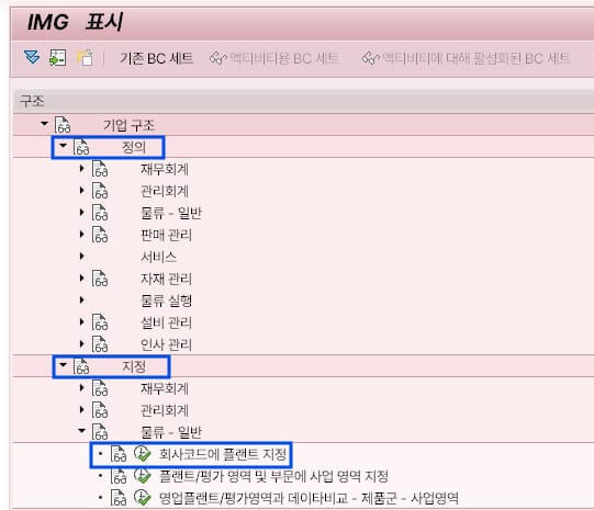 SAP IMG 설정 화면에서 '정의'와 '지정' 메뉴를 통해 SAP 조직 구조를 설정하는 모습