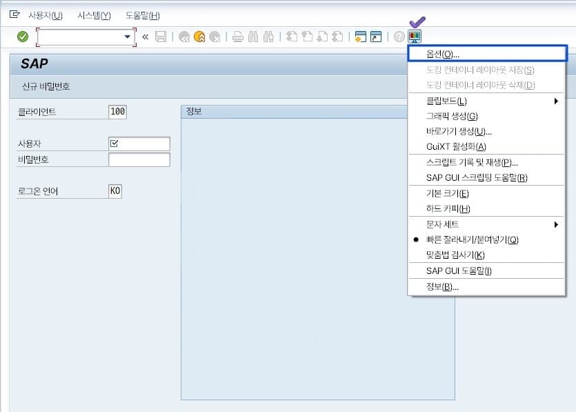 SAP GUI 옵션 메뉴에서 SAP 시그니처 테마 설정을 시작하는 모습